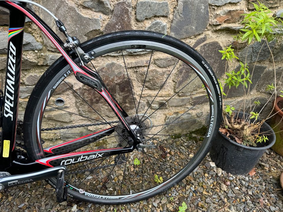 Specialized Roubaix Expert Ultegra Rh 58 in Köln