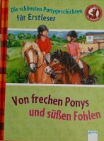 Buch Erstleser, Ponys Baden-Württemberg - Plochingen Vorschau