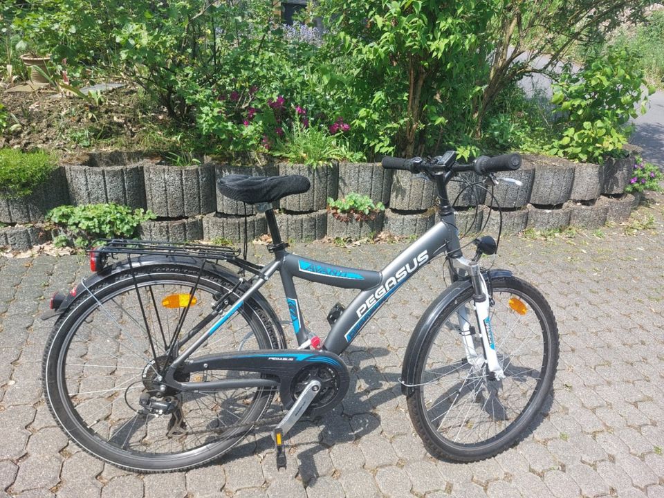 Herren( Knaben)-Fahrrad von Pegasus zu verkaufen in Solingen