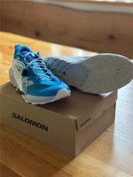 Salomon SENSE RIDE 5 (Größe 43 1/3) Sachsen - Sehmatal-Neudorf Vorschau