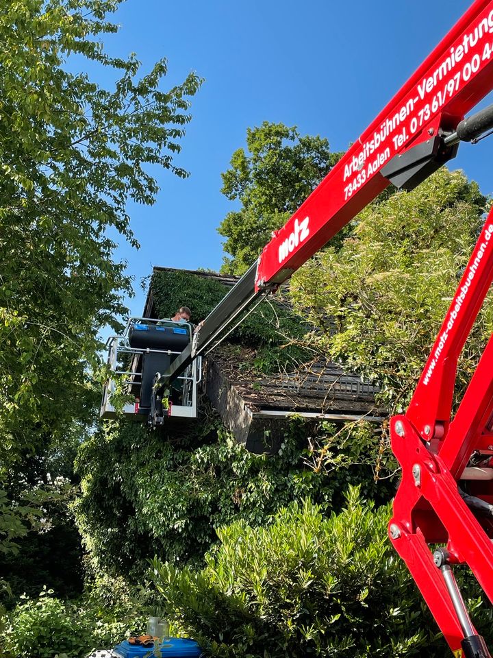 CKu Gartenpflege SCHNEIDEN PFLEGEN FÄLLEN FRÄSEN BAGGER und mehr in Oberkochen