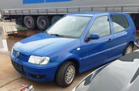 VW Polo, Bj.2000, 2 Hand 137.000km top gepflegt Nordrhein-Westfalen - Euskirchen Vorschau