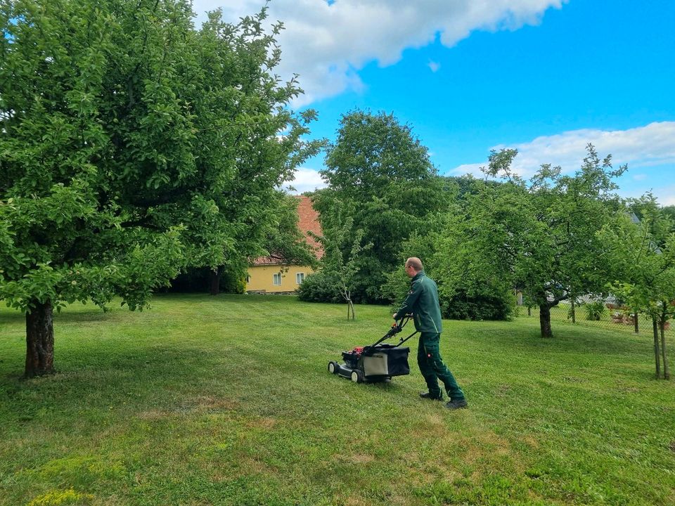 Gartenpflege Grünpflege Beräumung Brennholz Pflanzen Grundstück in Löbau