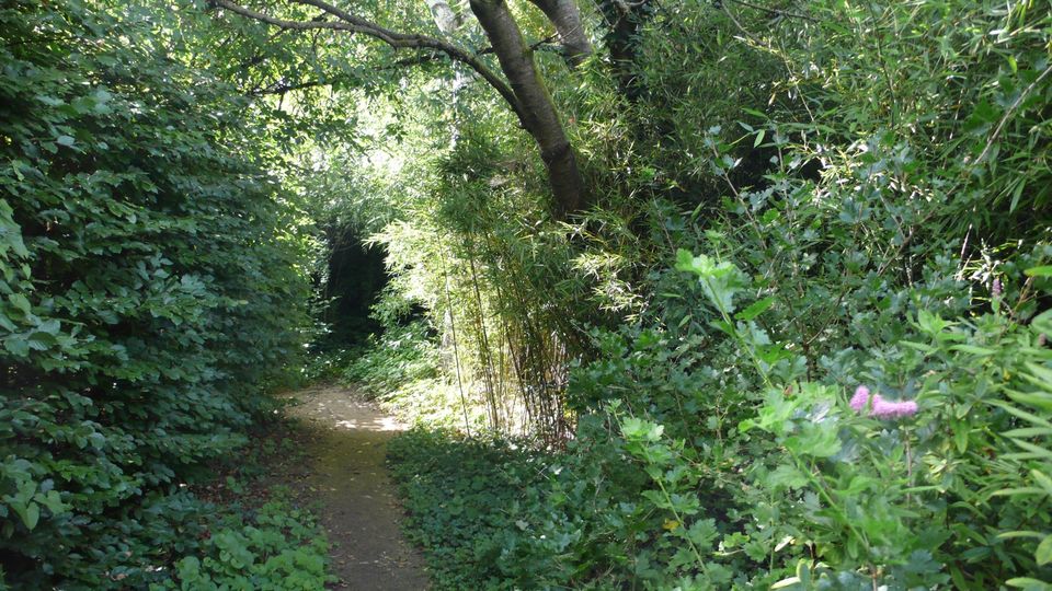 Außergewöhnliches Park Grundstück für großes EFH in Norderstedt in Hamburg