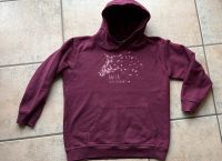 Anita Girlietainment Gr. 152 Mädchen Sweatshirt mit Kapuze Niedersachsen - Hillerse Vorschau