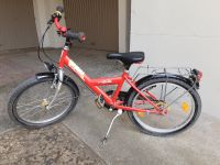 Puky Fahrrad 20 Zoll Stuttgart - Stuttgart-Süd Vorschau