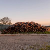 Brennholz, Scheitholz Bayern - Simbach Vorschau