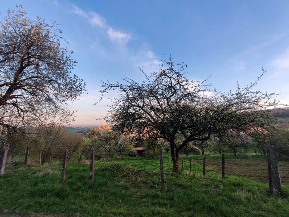 Provisionsfrei Einfamilienhaus 180m2 in Ulrichstein