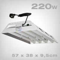 Grow Light Starlight 4x55W 6500K Anzucht +Leutmittel+Starter neu Saarland - Spiesen-Elversberg Vorschau