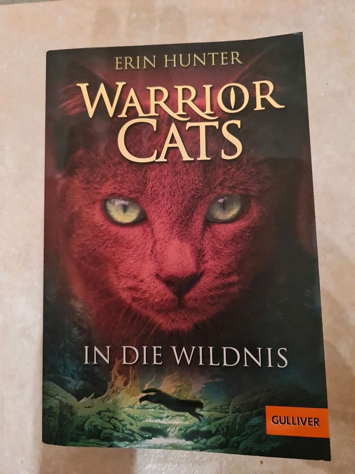 Warrior Cats  - In die Wildnis  Band 1 - Erin Hunter (Taschenbuch in Rethwisch