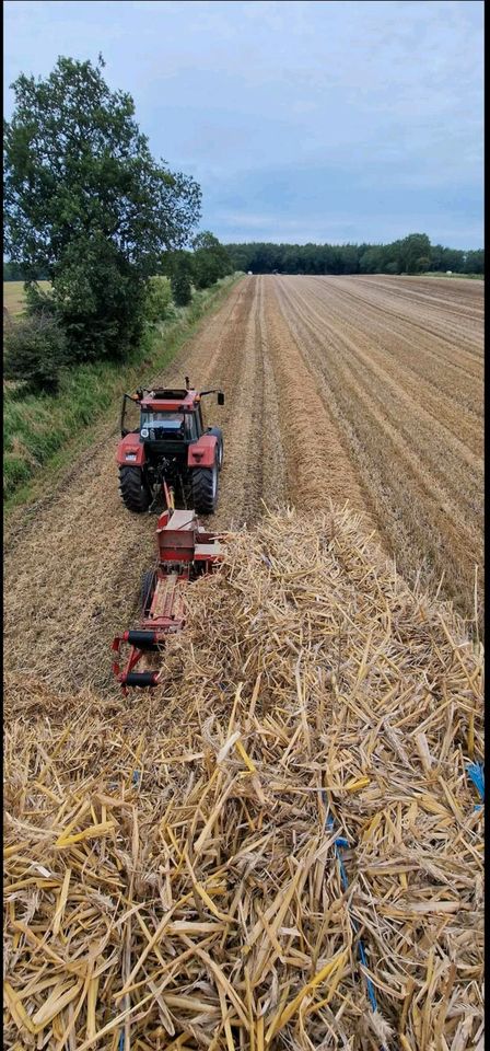 Heu/Stroh in kleine ballen & rundballen. in Dörpling