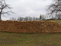 Frisches Brennholz zu Verkaufen Bayern - Landau a d Isar Vorschau