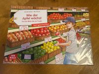 Wie der Apfel wächst - Neu - Kamishibai Niedersachsen - Burgdorf Vorschau