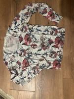 Leichte Strickjacke Tom tailor Gr M selten getragen Brandenburg - Nuthetal Vorschau