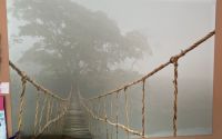 Bild Ikea Brücke Nebel Rheinland-Pfalz - Langenlonsheim Vorschau