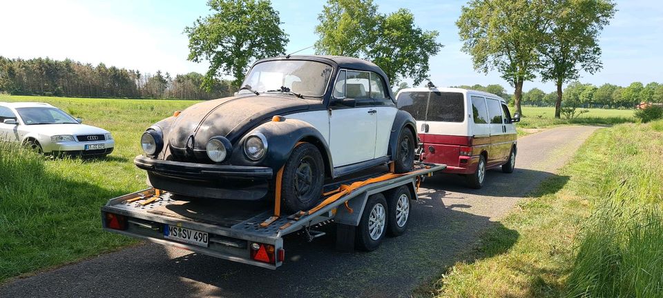 Autotransporter Auto-Transportanhänger Pkw-Transporter mieten' An in Mauritz