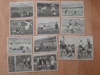 12 Sammelbilder Knorr Bilder Werk 3 Fußball 1891 WM Deutschland Hessen - Taunusstein Vorschau