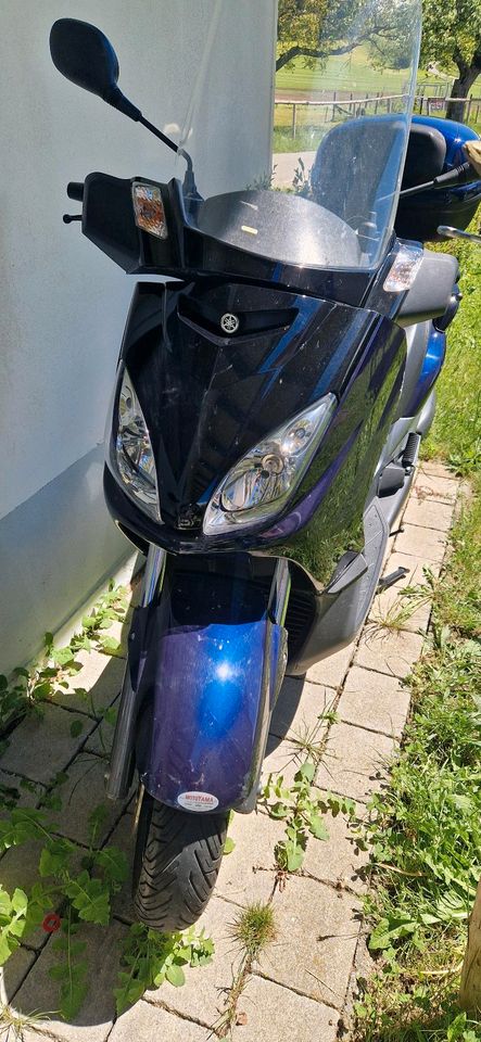 Yamaha YP125R Roller TÜV und hinter Reifen neu in Kißlegg