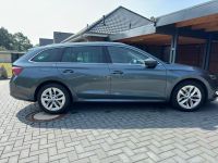 Skoda Octavia 2.0 TDI 110kW DSG Kombi / AHK / Garantie Schleswig-Holstein - Wahlstedt Vorschau