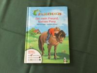 Sei mein Freund kleines Pony Bilderdrache Erstlesebuch Sachsen - Flöha  Vorschau