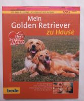 Hunde und Welpen Erziehung Parchim - Landkreis - Crivitz Vorschau