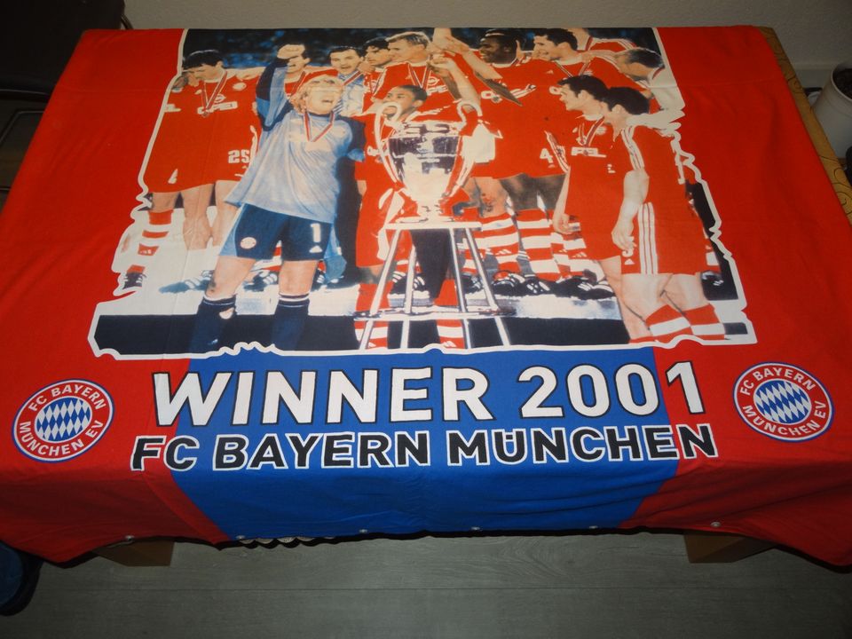 Bettwäsche Bayern Mü Champions L. – TOP ZUSTAND (Lkr. MIL&AB) in Aschaffenburg