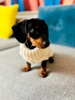 PAIKKA Handgefertigter Strickpullover für Hunde weiß Ludwigsvorstadt-Isarvorstadt - Isarvorstadt Vorschau