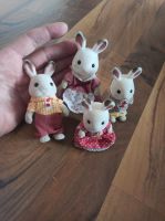 Sylvanian Family Baden-Württemberg - Rudersberg Vorschau