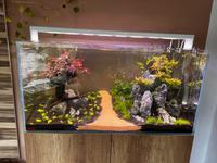 Premium Aquascape Profiset 200l - Aquarium Komplettlösung Baden-Württemberg - Königsbronn Vorschau