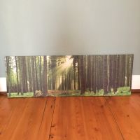 Bild Wald Leinwand  135x 45 Stuttgart - Stuttgart-West Vorschau