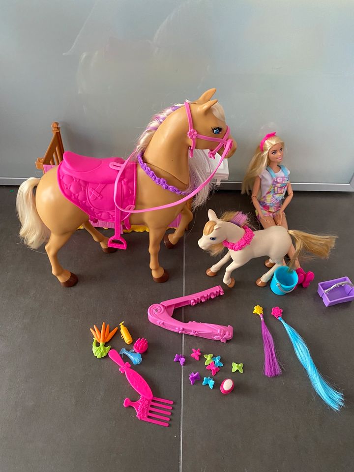 Barbie Frisierpferd plus Barbie in Weiterstadt