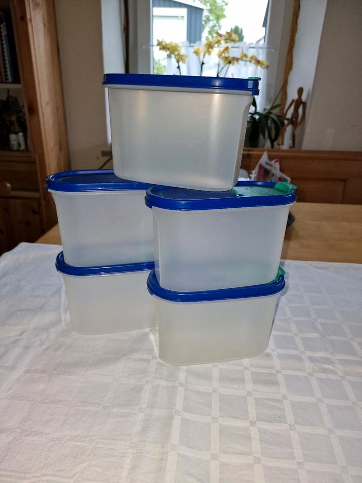 5x Tupperware 1,1l blau Eidgenossen Tupper 1 Klappe in Straubing