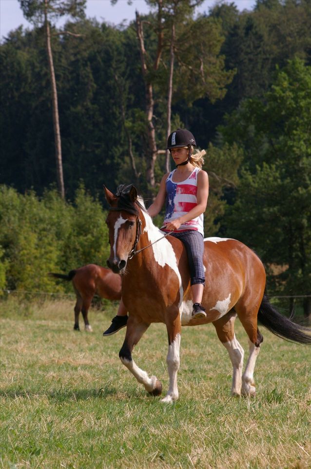 Beritt und Ausbildung ihres Pferdes, in der barocken Reitkunst in Bitz