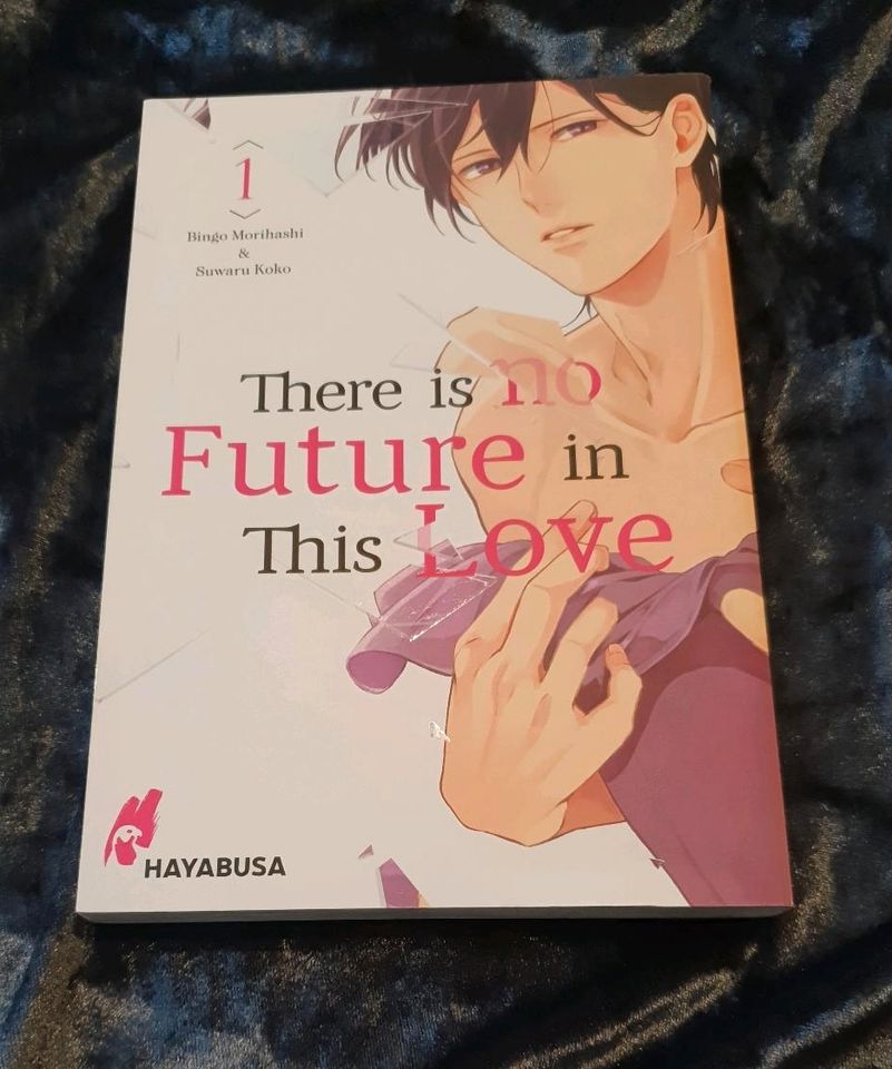 There is no future in this love Anime Manga Buch in Hamburg