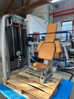 Technogym Selection Line Arm Curl Bizeps Kraft Niedersachsen - Sottrum Vorschau