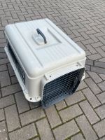 Transportbox Hund/Katze Niedersachsen - Bad Sachsa Vorschau