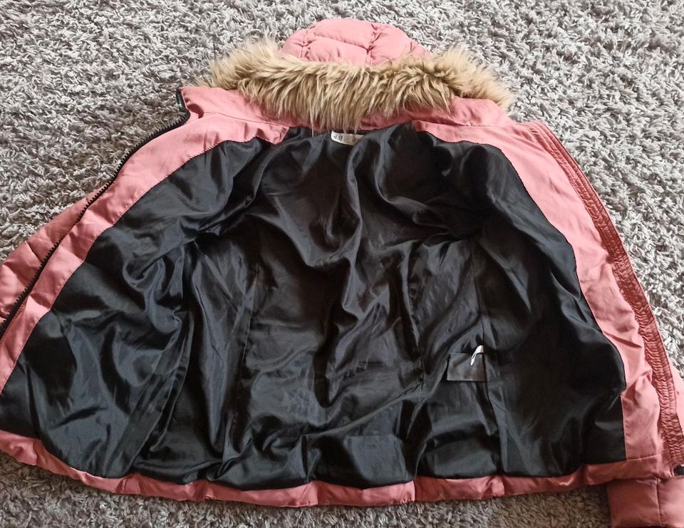 Winterjacke Steppjacke h&m Größe 158 in Schlema