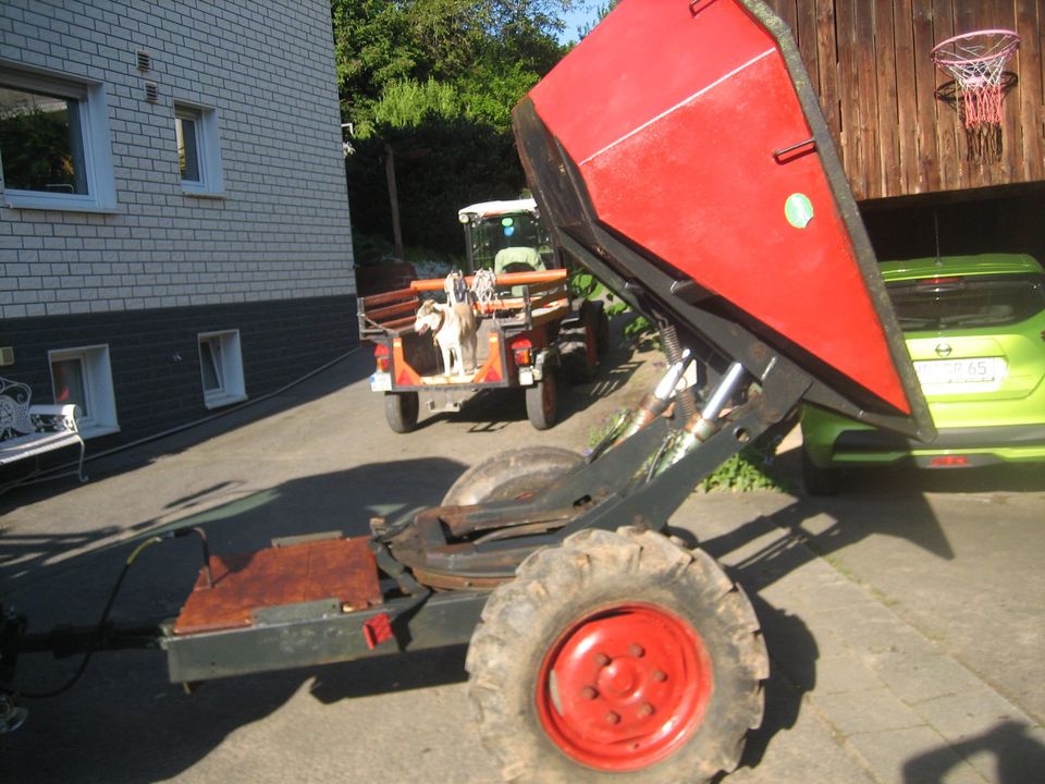 sehr gepflegter Muldenkipper Anhänger für Traktor in Fürth