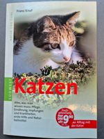 Katzen Alles was man wissen muss Niedersachsen - Freiburg (Elbe) Vorschau