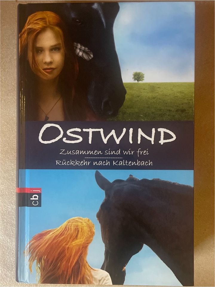 Ostwind Band 1-2, Lea Schmidbau in Frechen