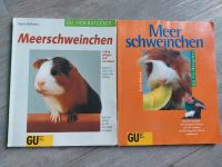 Toerbuch Ratgeber Meerschweinchen Pflege Haltung Ernährung Baden-Württemberg - Mötzingen Vorschau