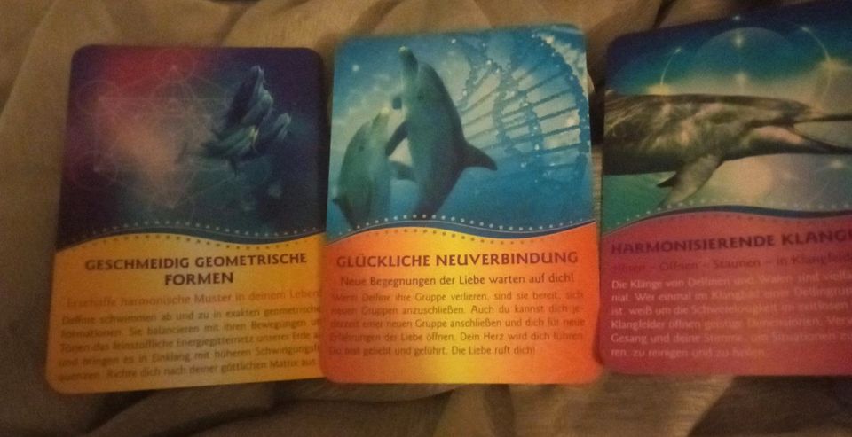Delfine ,Lichtvolle Botschaften 56 Karten mit Begleitbuch in Windeck