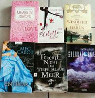 Bücherpaket, Romane Sachsen-Anhalt - Salzwedel Vorschau