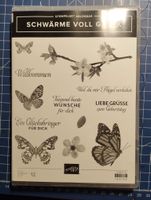 Stempelset Schmetterlinge Schwärme voller Glück  Stampinup Brandenburg - Brieskow-Finkenheerd Vorschau