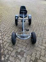 Dino Gokart Schleswig-Holstein - Schleswig Vorschau