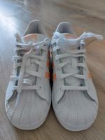 Neu Adidas Allstars Aprikose 34 Schuhe Sneaker Brandenburg - Grünheide (Mark) Vorschau