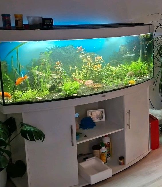 Juwel Aquarium Dicht in Windhagen