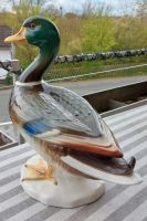 Lebensgrosse Porzellan Goebel Ente im Bestzustand Nordrhein-Westfalen - Warburg Vorschau