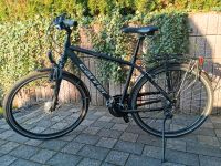 Carver Boston Touren/Trekking Fahrrad 28" Rheinland-Pfalz - Münstermaifeld Vorschau