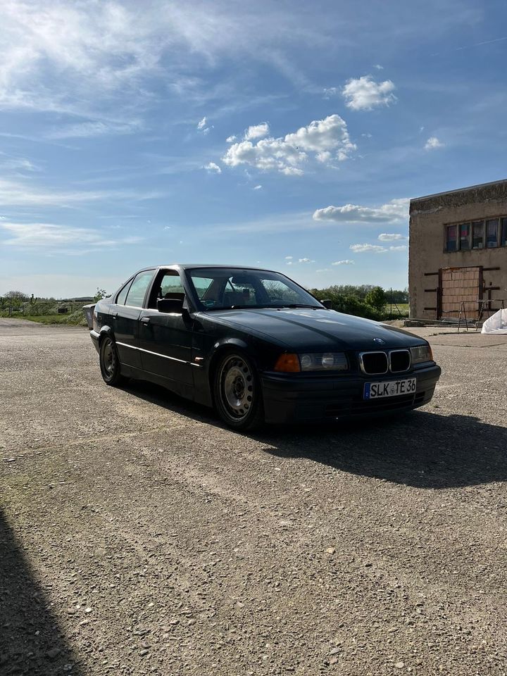BMW E36 316i (Tausch) in Aschersleben